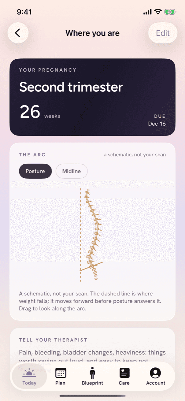 Second trimester, week 26, posture schematic